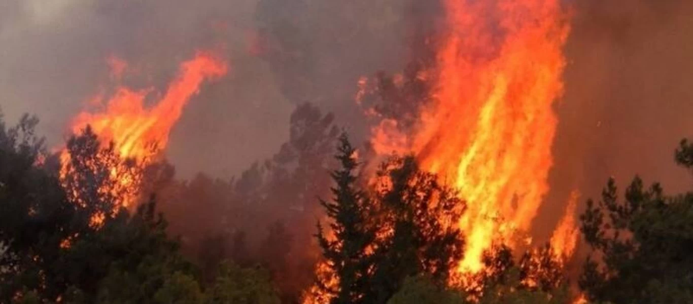 Υψηλός κίνδυνος πυρκαγιάς αύριο Σάββατο - Ποιες περιοχές αφορά